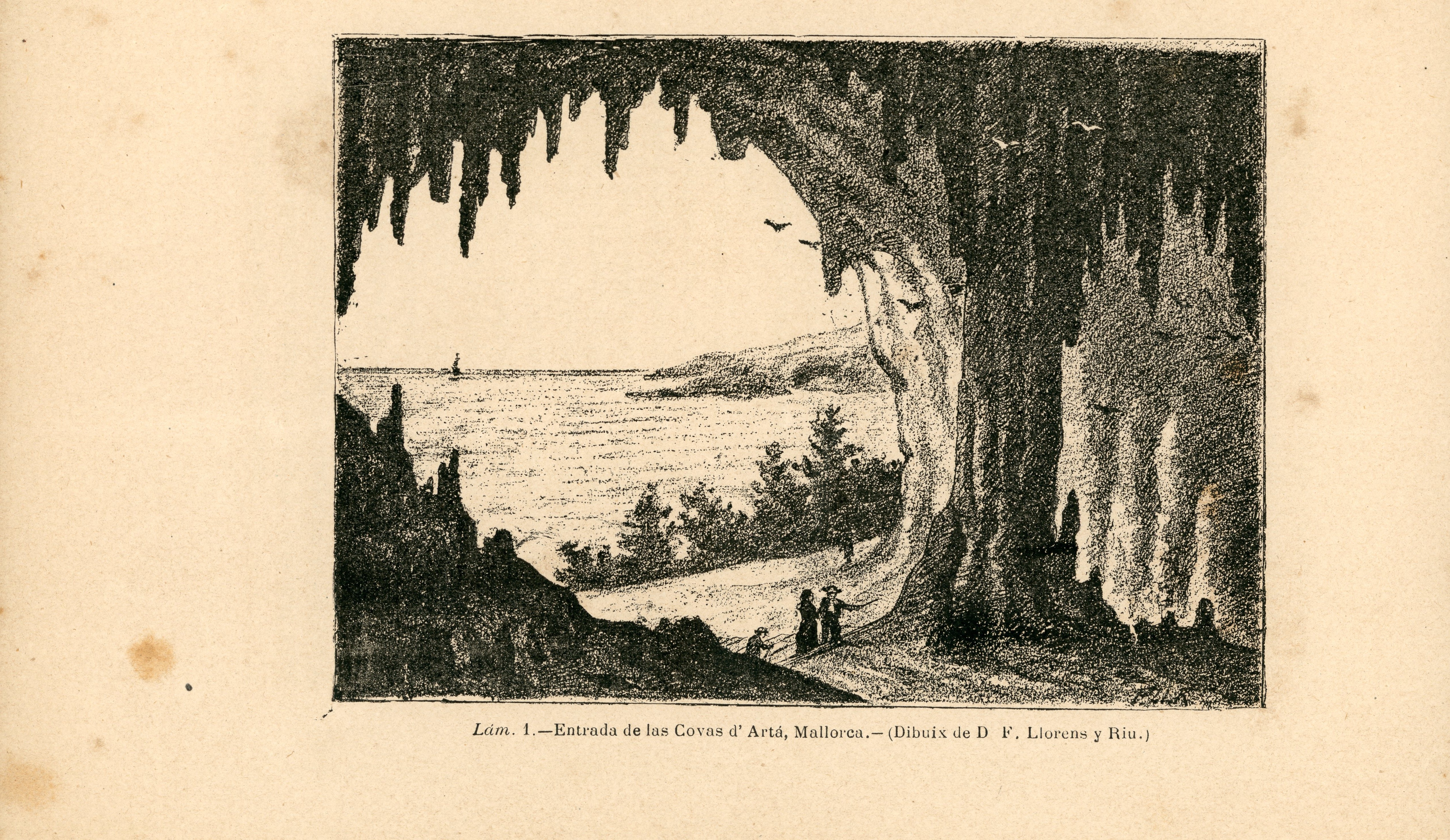 Excursió á Palma, coves de Artá y de Manacor (Mallorca) - Miniatura 2